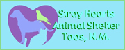 Taos, NM Humane Society, Stray hearts Animal Shelter, Taos, New Mexico